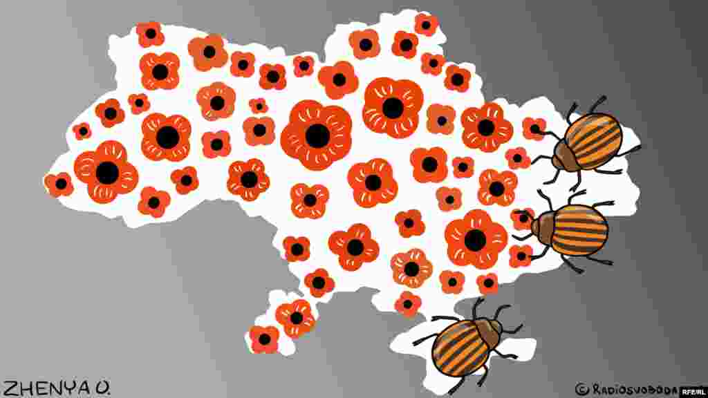 Автор: Євгенія Олійник