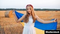 Фахівці закликають уряд не наробити помилок