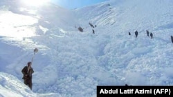 آرشیف - عکس جنبه تزئینی دارد