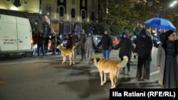 Пратэстоўцы на праспэкце Руставэлі ў Тбілісі, 30 кастрычніка 2025 году