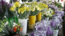 ՌԴ-ը նախազգուշացնում է՝ հունիսի 16-ից կարող է Հայաստանից ներկրվող ծաղիկների մուտքը ժամանակավոր արգելել