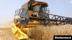 Половина території України - сільськогосподарські землі у приватній власності. З 1 липня українці зможуть купувати і продавати цю землю.