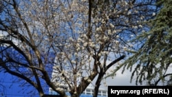 8 грудня був встановлений черговий температурний рекорд