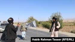 جنگجویان گروه طالبان در ولایت غزنی November. 01.2020
