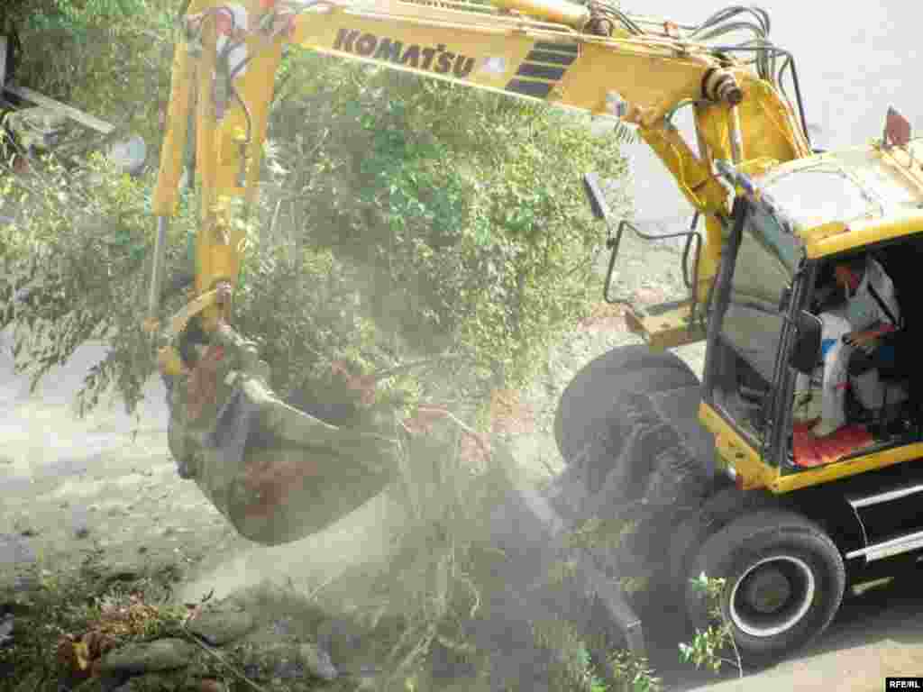 "Bolýan zatlara ýüregim çydanok" #11