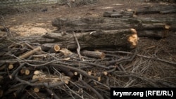 Гагаринский парк в Симферополе, март 2018 года