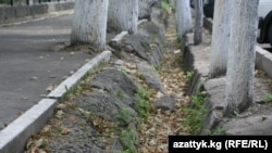 Иллюстративное фото.