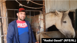 Ниёз Ниёзов содержит 12 самых разных пород лошадей 