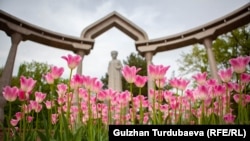 Биринчи май районунун аймагында Ала-Тоо аянты баштаган эл көп чогулган бир топ коомдук жайлар, парктар бар.