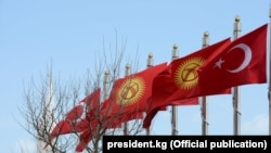 Кыргызстандын жана Түркиянын мамлекеттик туулары.