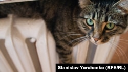 «Починаємо опалювальний сезон 25 жовтня»