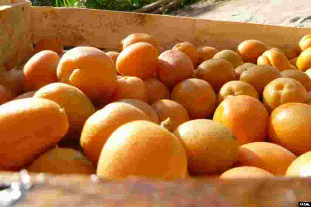 Баткенде сары кыздын тою #2