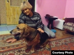 Собака Буся (фото надане волонтерами)
