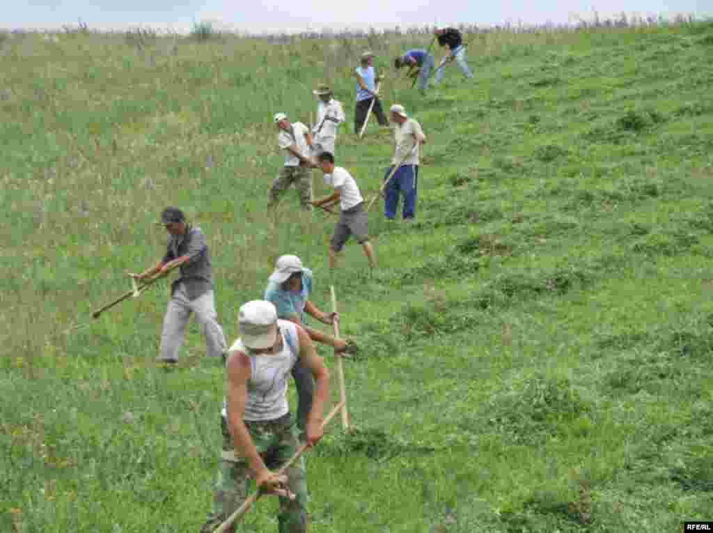 Арзыгүл: Түшүмө кирдиң түндө сен... #16