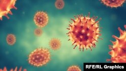 ویروس کرونا