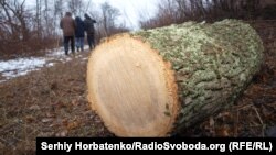 Лесорубы не всю древесину успели вывезти