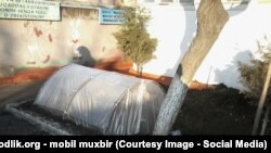 Парниковый лимонарий на территории одной из школ в Андижане.