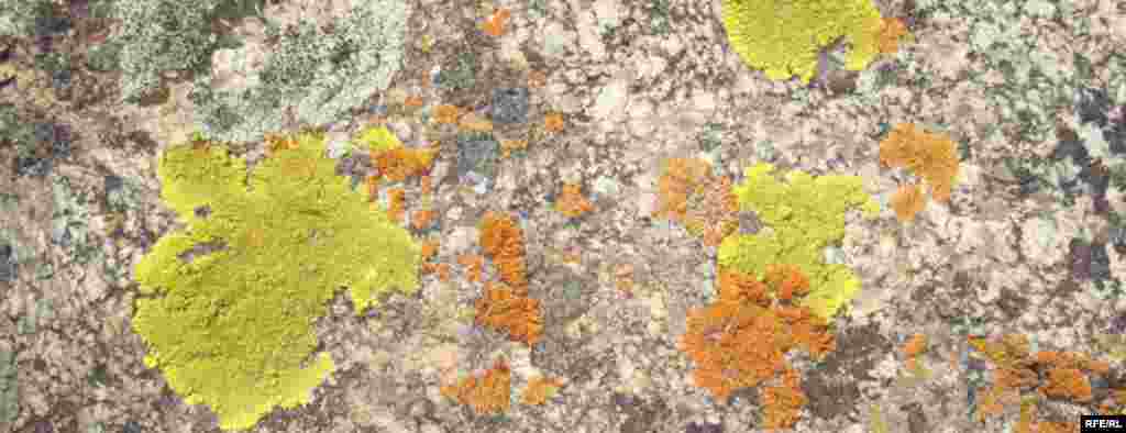 Осень в горах Иссык-Куля #4