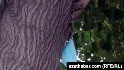 Ulanylan maska, Aşgabat, 14-nji iýul, 2020