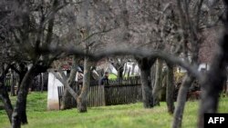 Полицейский осматривает двор дома в сербской деревне Велика Иванца, где произошло массовое убийство