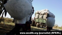 Pagta daşaýan işçiler (Illýustrasiýa suraty)