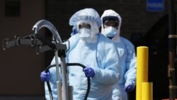 Нью-Йорктогу медкызматкерлер, 1-апрель 2020-жыл.