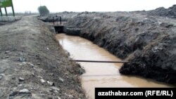 Kärendiçiler ekerançylyk suwlarynyň ýiti ýetmezçiligi bilen ýyllarboýy ýüzbe-ýüz bolýandyklaryny aýdýarlar.