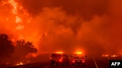 Иллюстративное фото