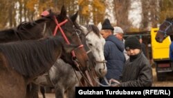 Иллюстративное фото. 