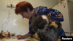 Голосование на дому в Белоруссии: с котом в руках