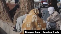 تعدادی از معتادین در ولایت هرات 