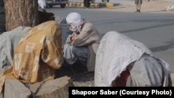 شماری از معتادین مواد مخدر در ولایت هرات