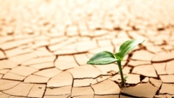 Жашыл планета: журналистиканын экологияга кошкон салымы  