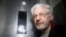 Միացյալ Թագավորություն - WikiLeaks-ի հիմնադիր Ջուլիան Ասանժը Ուեսթմինսթրի դատարանում, Լոնդոն, 13-ը հունվարի, 2020թ.