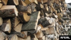 Закон - тайга...