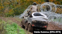 Солдат Збройних сил Латвії патрулює кордон із Білоруссю, нещодавно посилений колючим дротом, 28 вересня 2021 року