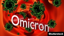 Коронавирустун "Омикрон" түрүнө байланыштуу Кыргызстанга чек арадан кирген ар бир адамдан коронавирус жоктугун тастыктаган милдеттүү ПЧР-тест талап кылынат.
