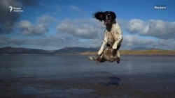 Лица и события февраля