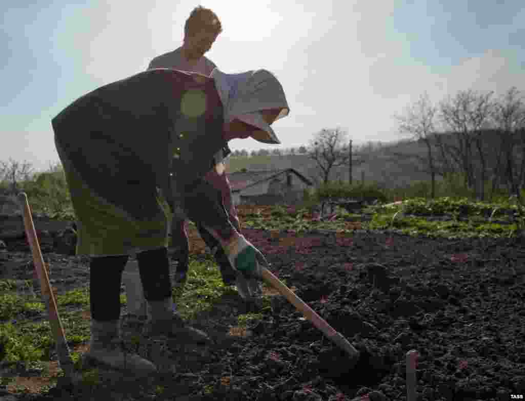 На городі &ndash; і старі, й малі. Як проходять травневі дні в Клинівці &ndash; в нашому фоторепортажі​