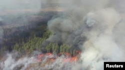 Лісова пожежа в зоні відчуження навколо Чорнобильської АЕС, 12 квітня 2020 року