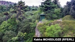 Оппозиция и гражданские активисты обвиняют мэрию в намерении вырубить тысячи деревьев в угоду негласному лидеру правящей «Грузинской мечты»