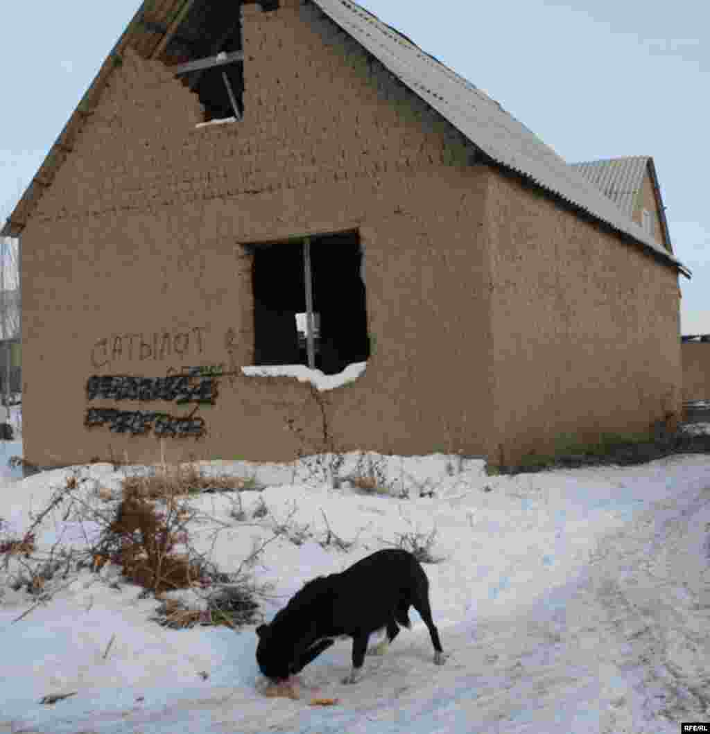 Бишкекские новостройки зимой #19