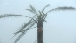 Найгірший буревій за десятиліття у США – Harvey (відео)