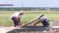 Жаңы конуш түптөө машакаты