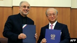 Амано жана Салехи сүйлөшүүлөрдөн кийин. Тегеран, 11-ноябрь, 2013-жыл.