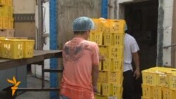 АКШ бөтөндөрдү жектебейт (1-бөлүк)