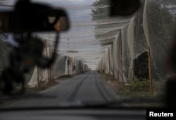 Дорога під сіткою для захисту від дронів, Костянтинівка, Донецька область України, вересень 2025 року