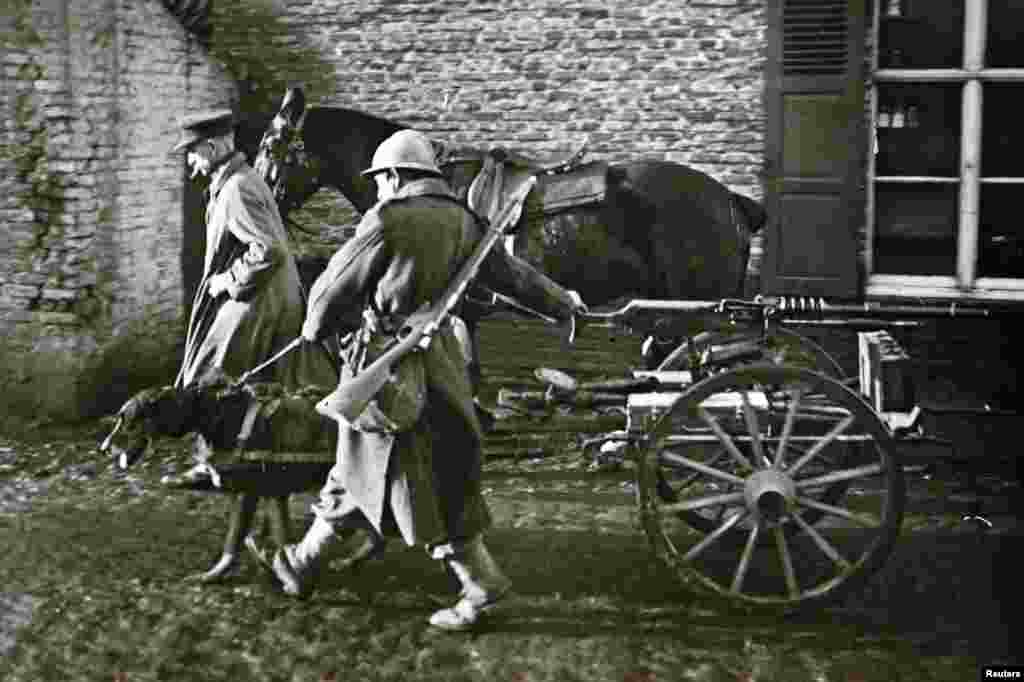 Wagty bellenmedik fotosurat Belgiýanyň pulemýotuny çekmgäge goşulan iti görkezýär, demirgazyk Fransiýa.