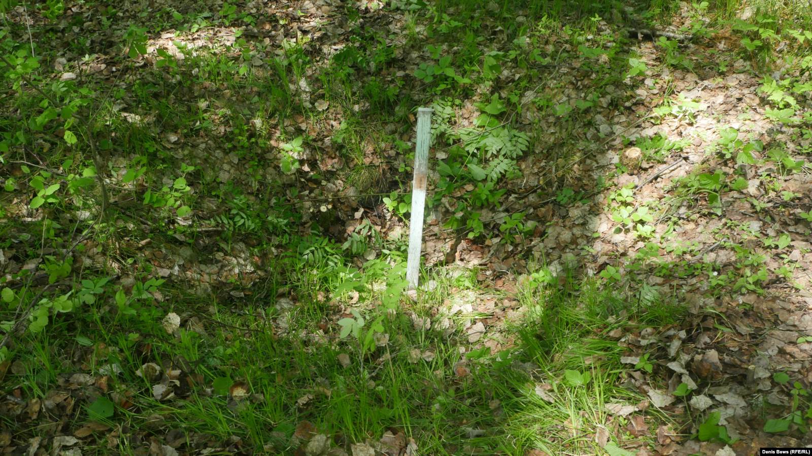 Эти просевшие ямы – братcкие могилы