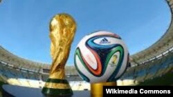 Быйылкы Дүйнөлүк футбол мелдешинин расмий кубогу жана тобу.